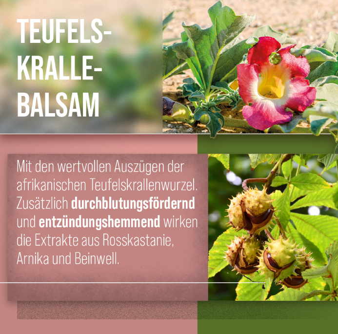 악마의 발톱 크림 150ml