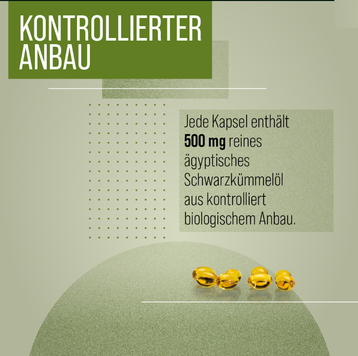 블랙 커민 오일 모노 캡슐
