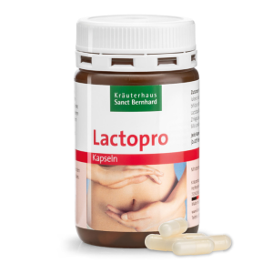 락토프로 유산균 영양제 120캡슐