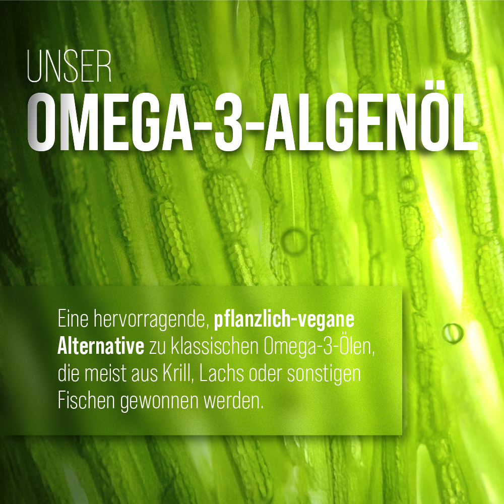 오메가-3 조류오일 100 ml - 100 ml