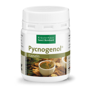 피크노제놀 캡슐 (42 capsules)